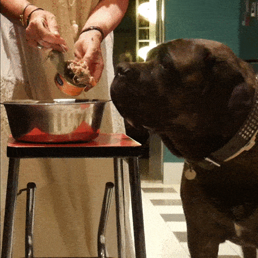 ingrédients recette poulet