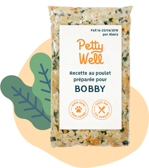 succulent repas Petty Well